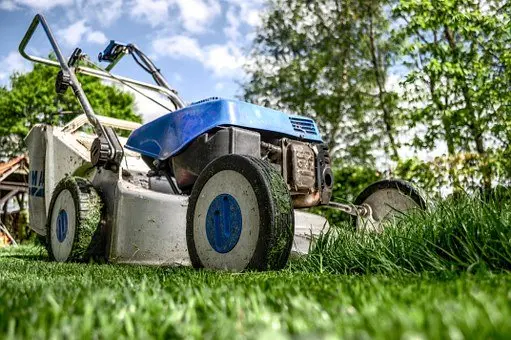 Landscaping--in-Saint-Michael-Minnesota-landscaping-saint-michael-minnesota.jpg-image